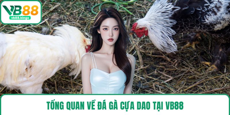 Tổng quan về đá gà cựa dao tại VB88